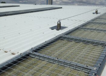 Skylight Fall Prevention